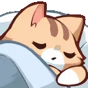 cat_sleep cat_sleep