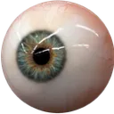 1dg_eye2