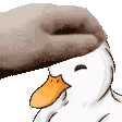 duck_pet1