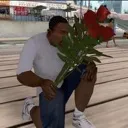 roses roses