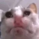 sadge