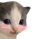 heheBlush