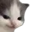 hehehe