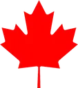 maple