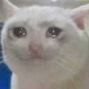 emoji_29