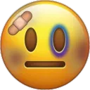 image_20250709_054438081removebg