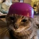 bowlhead