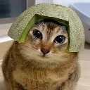melonhead