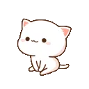 25784waitingpeachcat