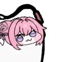dorowhip