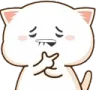Rizzcord_Kitten