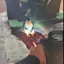 f_adamemoji