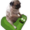 pug_pickle