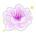 purpleflower