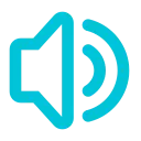 voice