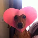 awww