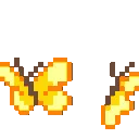ary005