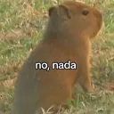 nonada