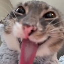 :emoji_44: