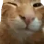 buhbye