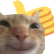 thumbsupCat