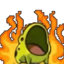firefrogv2