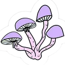 shrooms2