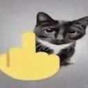 2_middlefinger