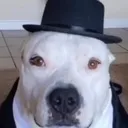 blord_if_he_was_british