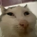 hmmm_chess_burger hmmm_chess_burger