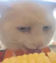 mlem