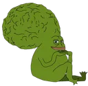 groyperBigBrain
