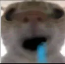 rbh_c_chaynuoc