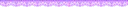 Purple_divider