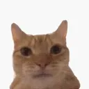 emoji_33