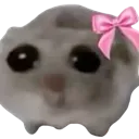 adorablehamster