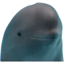 happydolphin