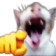 drufeaCatPointingAndLaugh