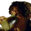 frodosip2