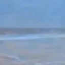 Horse5 Horse5