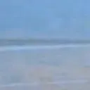 Horse6 Horse6