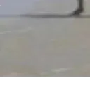 Horse999