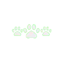 33797whitecatpaws