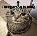 this_person_is_lying