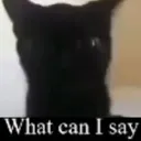 whatcanisay