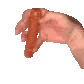 dogHOT