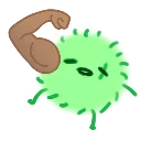 mariswole