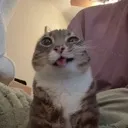 hehehe