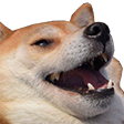 dogelaugh Discord Emoji - Mystic Guild