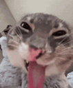69176hehehe